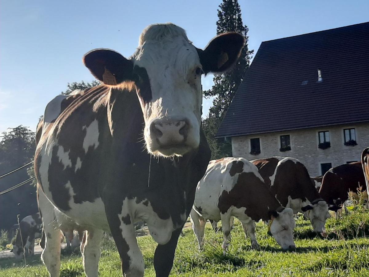 Gite Chez La So ! Avec Visite A La Ferme Arcon  Exterior foto