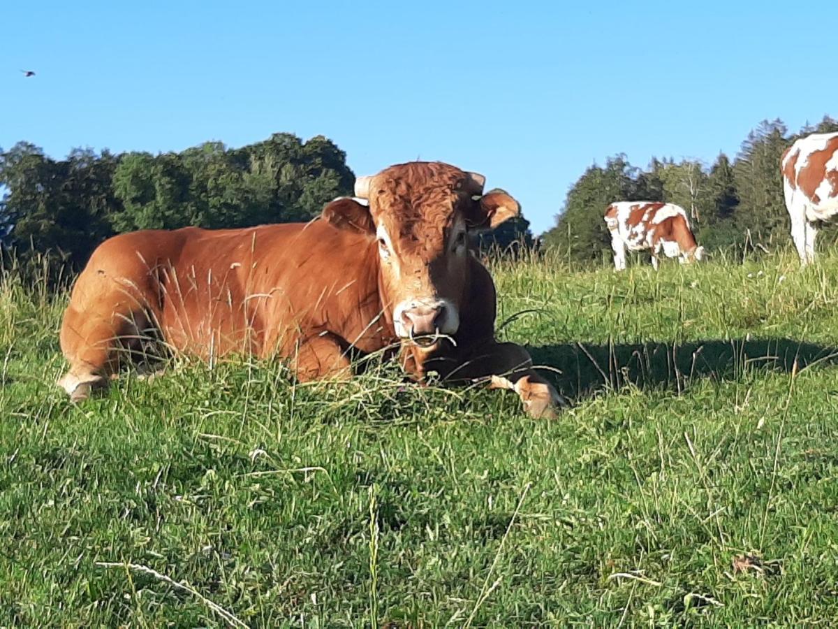Gite Chez La So ! Avec Visite A La Ferme Arcon  Exterior foto